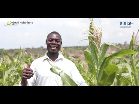 GOOD-NEIGHBORS-DOCUMENTARY-HELPING-SMALLHOLDER-FARMERS